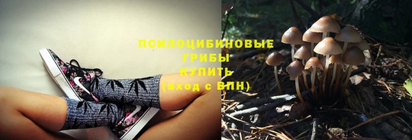 скорость Аркадак
