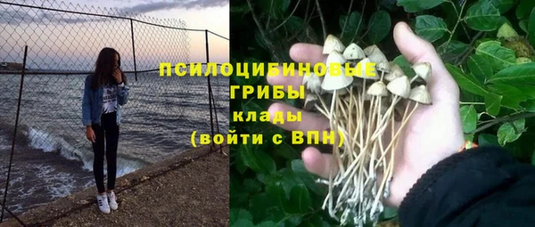 МДМА Алексеевка